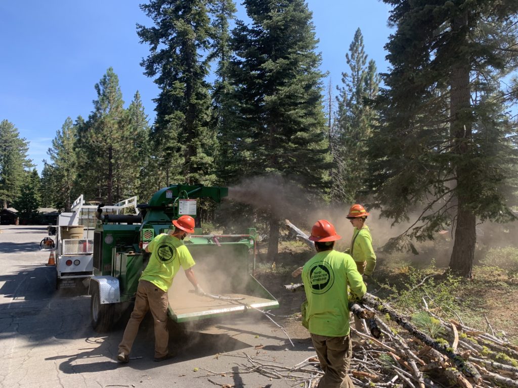 Forestry crew chipping timber