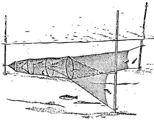 Image shows a black and white drawing a of a fyke net. 