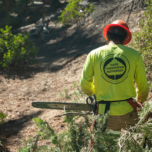 Forestry, Land Management & Restoration Crews image